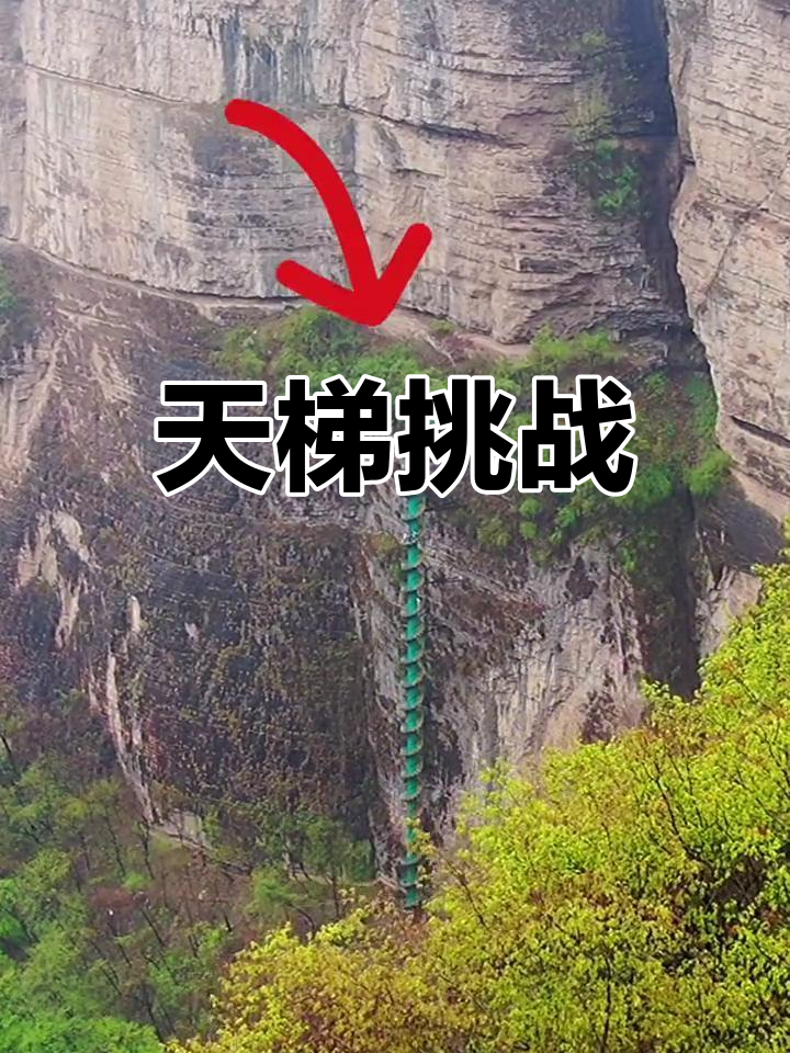 kaiyun登录入口-山顶极速天梯攀登，挑战速度与耐力的巅峰的简单介绍