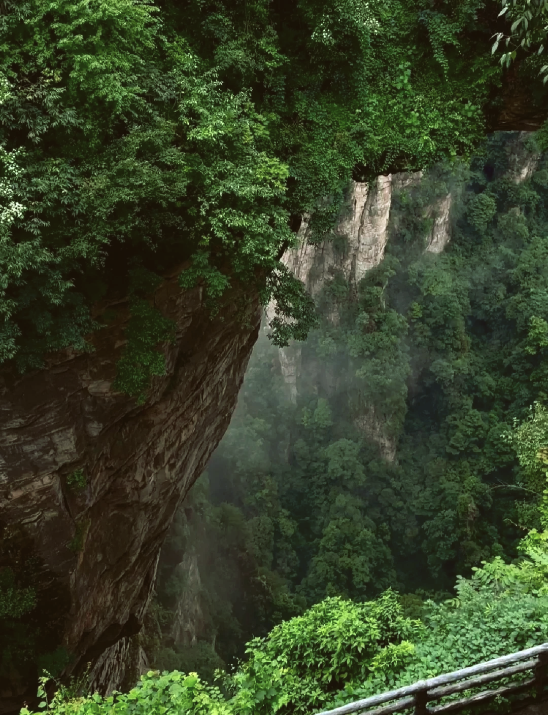 山顶极速天梯攀登，挑战速度与耐力的巅峰的简单介绍